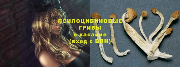 spice Арсеньев