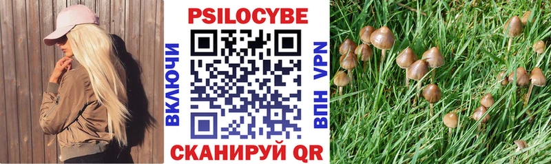 Псилоцибиновые грибы мухоморы  закладка  Симферополь 