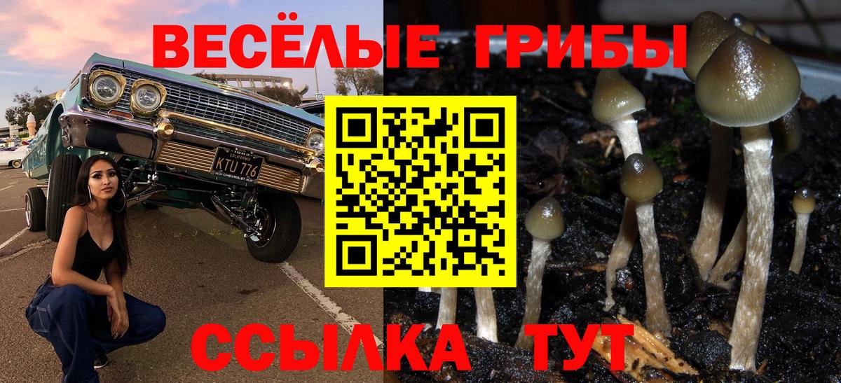 Галлюциногенные грибы GOLDEN TEACHER Симферополь